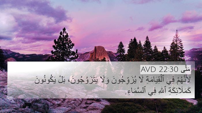 مَتَّى 22:30 AVD Bible Verse Image