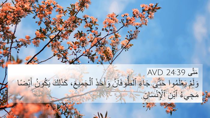 مَتَّى 24:39 AVD Bible Verse Image