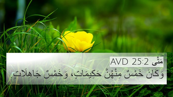 مَتَّى 25:2 AVD 4K Wallpaper - وَكَانَ خَمْسٌ مِنْهُنَّ - 4K Wallpaper Bible Verse