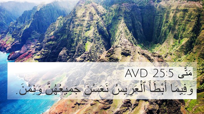 مَتَّى 25:5 AVD Bible Verse Image