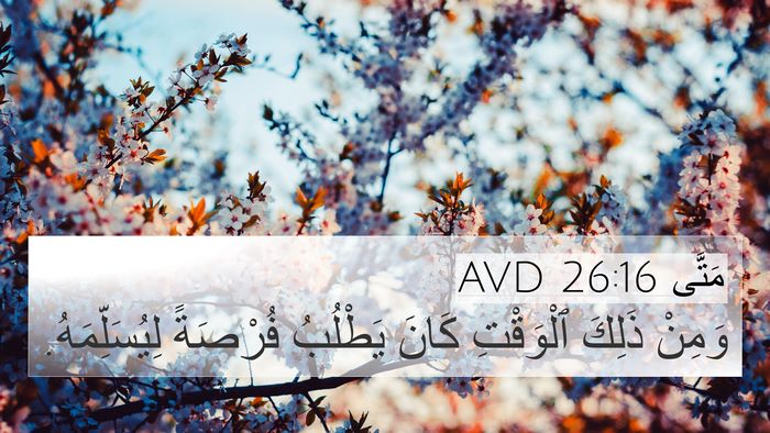 مَتَّى 26:16 AVD Bible Verse Image