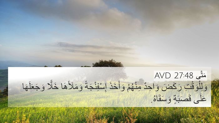 مَتَّى 27:48 AVD Bible Verse Image