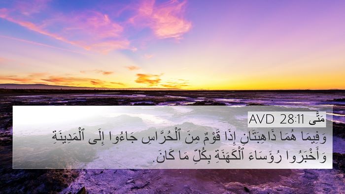 مَتَّى 28:11 AVD Bible Verse Image
