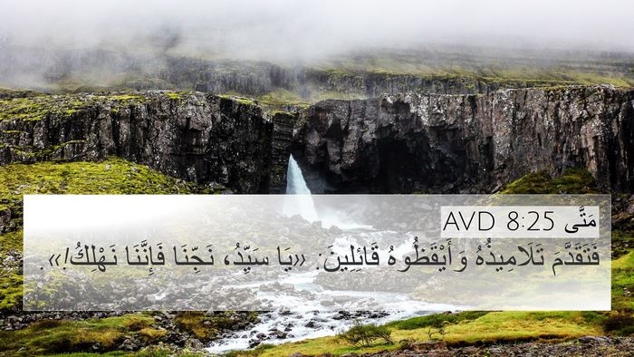 مَتَّى 8:25 AVD Bible Verse Image