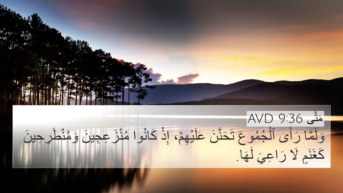 مَتَّى 9:36 AVD 4K Wallpaper - وَلَمَّا رَأَى ٱلْجُمُوعَ - 4K Wallpaper Bible Verse