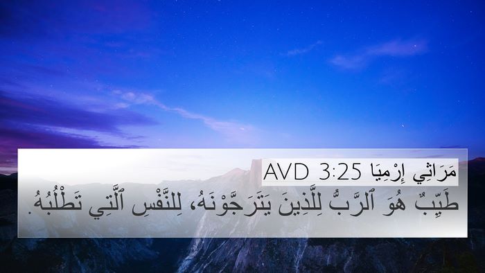 مَرَاثِي إِرْمِيَا 3:25 AVD Bible Verse Image