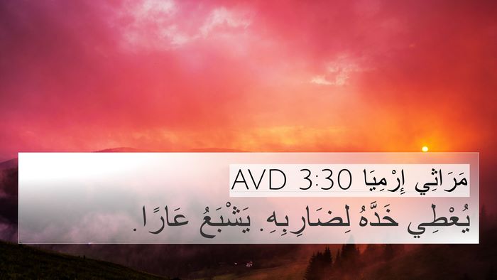 مَرَاثِي إِرْمِيَا 3:30 AVD Bible Verse Image