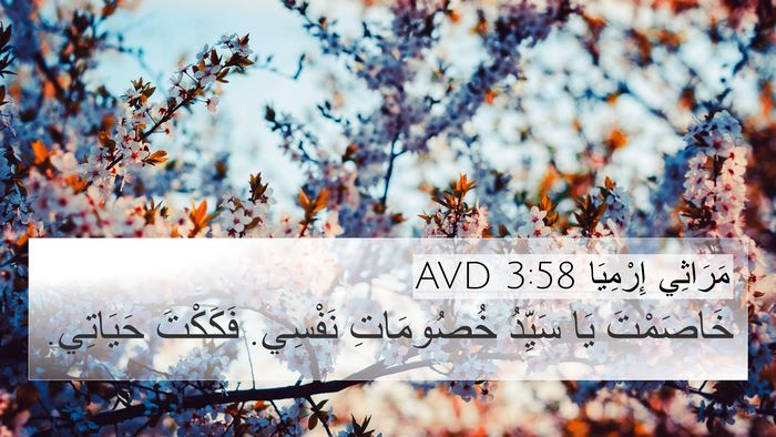 مَرَاثِي إِرْمِيَا 3:58 AVD Bible Verse Image