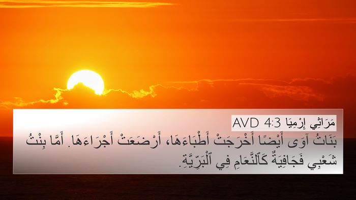 مَرَاثِي إِرْمِيَا 4:3 AVD Bible Verse Image