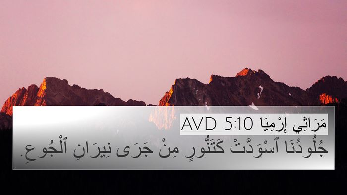 مَرَاثِي إِرْمِيَا 5:10 AVD Bible Verse Image