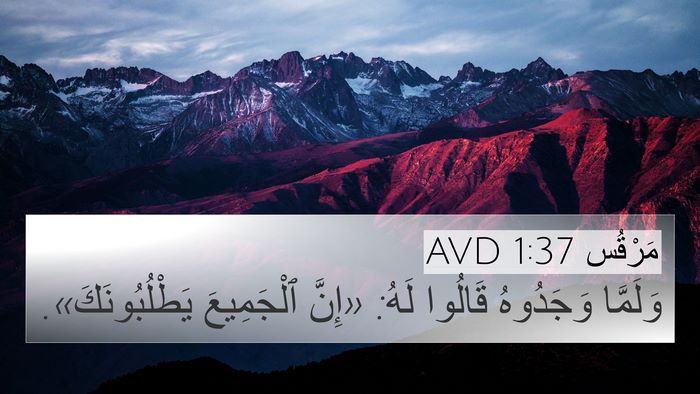 مَرْقُس 1:37 AVD 4K Wallpaper - وَلَمَّا وَجَدُوهُ - 4K Wallpaper Bible Verse