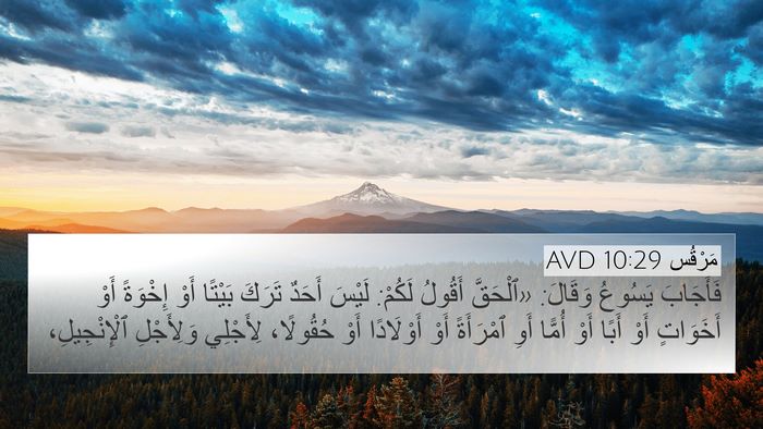 مَرْقُس 10:29 AVD Bible Verse Image