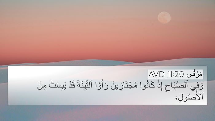 مَرْقُس 11:20 AVD Bible Verse Image