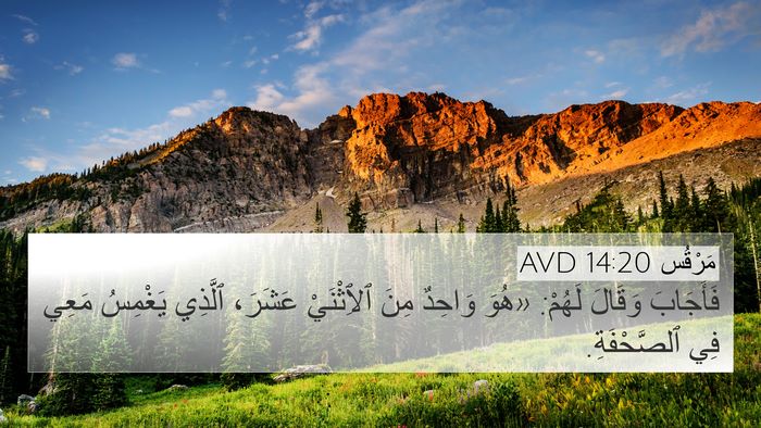 مَرْقُس 14:20 AVD Bible Verse Image