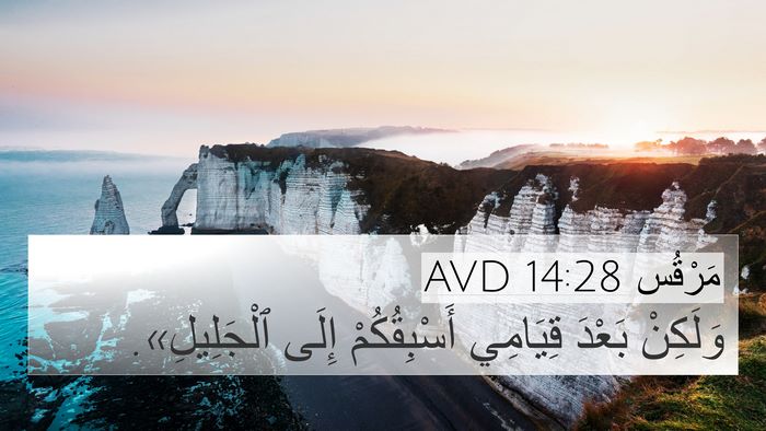 مَرْقُس 14:28 AVD Bible Verse Image