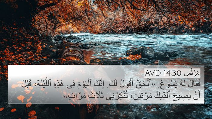مَرْقُس 14:30 AVD Bible Verse Image