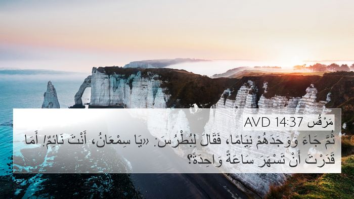 مَرْقُس 14:37 AVD 4K Wallpaper - ثُمَّ جَاءَ وَوَجَدَهُمْ - 4K Wallpaper Bible Verse