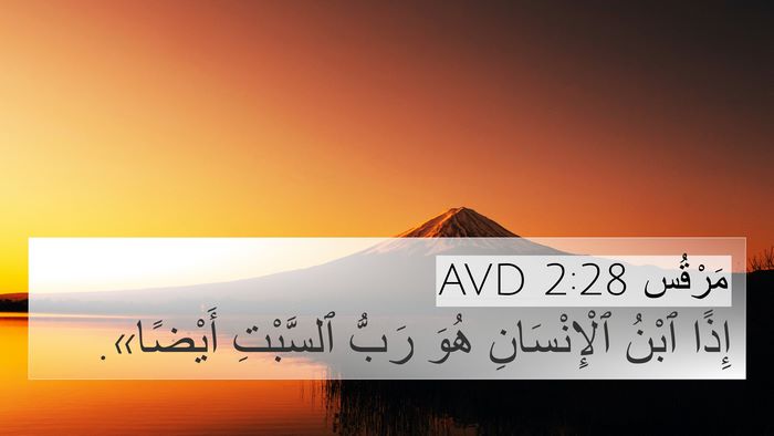 مَرْقُس 2:28 AVD Bible Verse Image