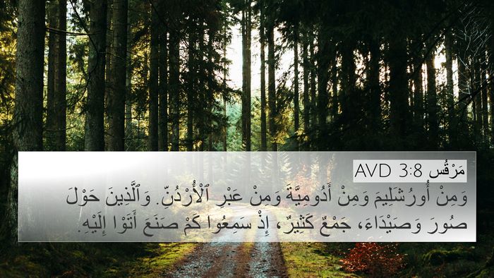 مَرْقُس 3:8 AVD Bible Verse Image