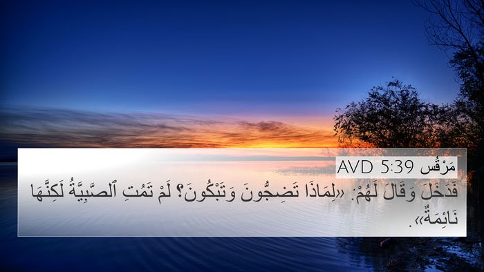 مَرْقُس 5:39 AVD Bible Verse Image