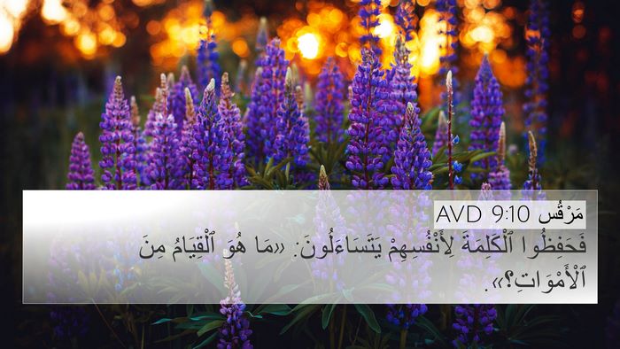 مَرْقُس 9:10 AVD Bible Verse Image