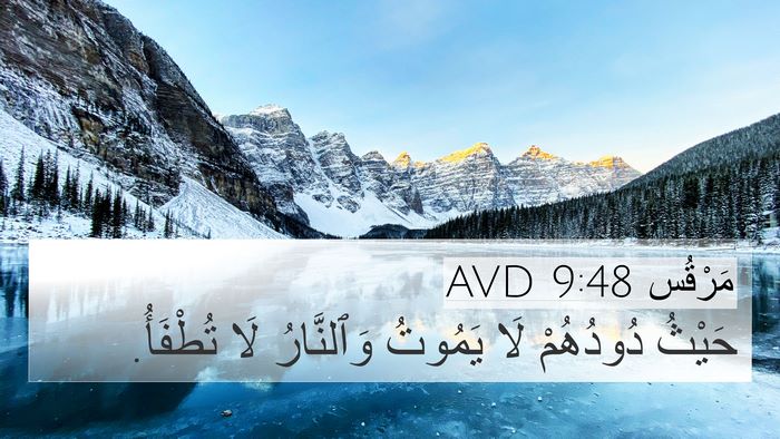 مَرْقُس 9:48 AVD Bible Verse Image