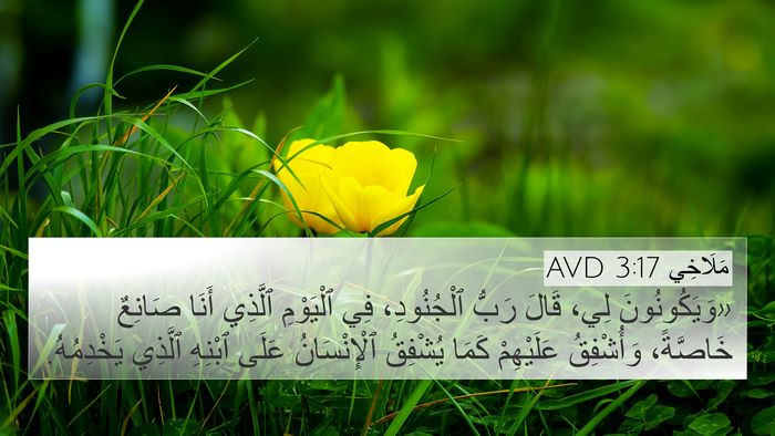 مَلَاخِي 3:17 AVD Bible Verse Image