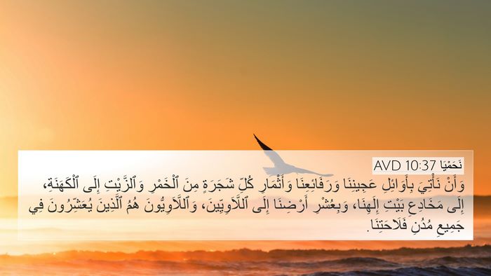نَحَمْيَا 10:37 AVD Bible Verse Image