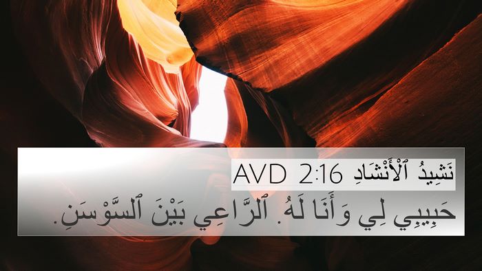 نَشِيدُ ٱلْأَنْشَادِ 2:16 AVD Bible Verse Image