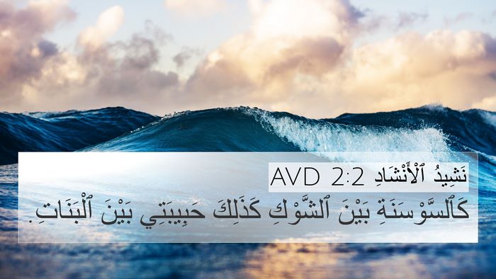 نَشِيدُ ٱلْأَنْشَادِ 2:2 AVD Bible Verse Image