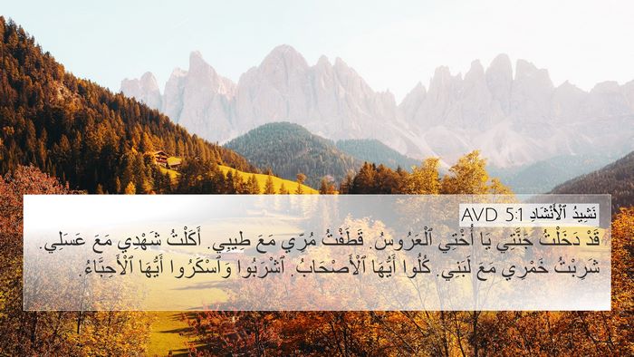 نَشِيدُ ٱلْأَنْشَادِ 5:1 AVD Bible Verse Image