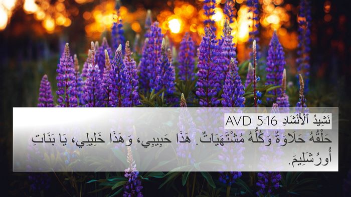 نَشِيدُ ٱلْأَنْشَادِ 5:16 AVD Bible Verse Image