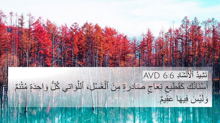 نَشِيدُ ٱلْأَنْشَادِ 6:6 AVD Bible Verse Image