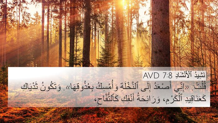 نَشِيدُ ٱلْأَنْشَادِ 7:8 AVD Bible Verse Image