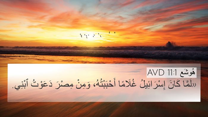 هُوشَع 11:1 AVD Bible Verse Image