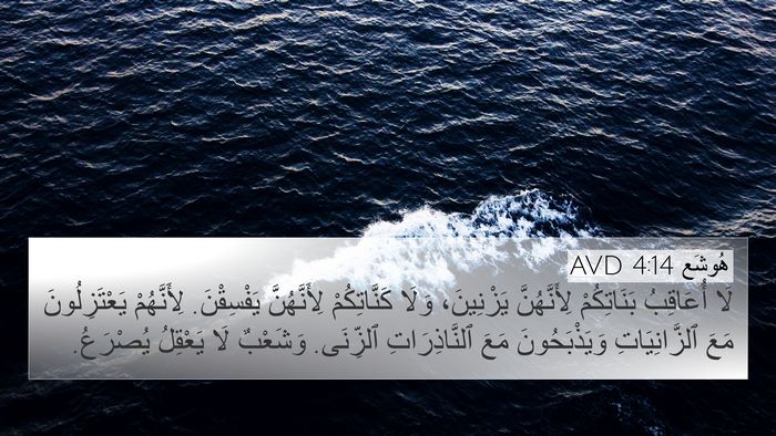 هُوشَع 4:14 AVD Bible Verse Image