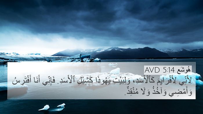 هُوشَع 5:14 AVD Bible Verse Image