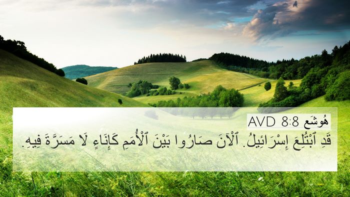 هُوشَع 8:8 AVD Bible Verse Image