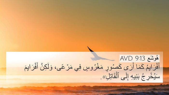 هُوشَع 9:13 AVD Bible Verse Image