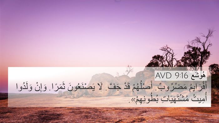 هُوشَع 9:16 AVD Bible Verse Image