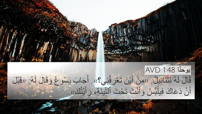 يوحنَّا 1:48 AVD Bible Verse Image