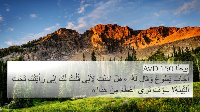 يوحنَّا 1:50 AVD Bible Verse Image