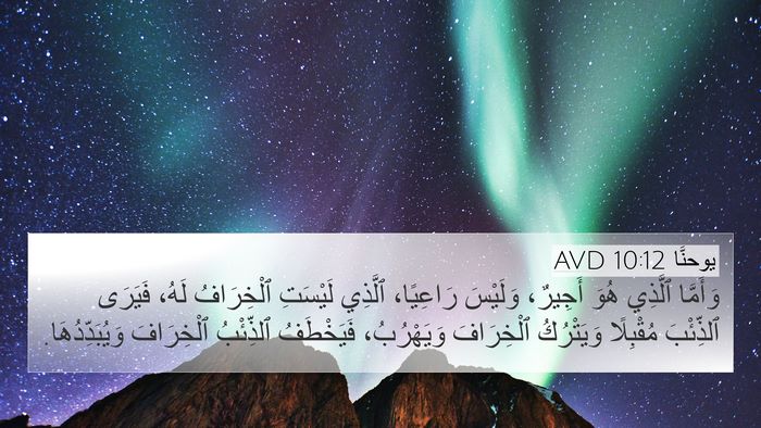 يوحنَّا 10:12 AVD Bible Verse Image