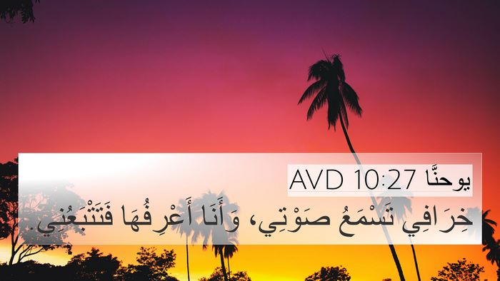 يوحنَّا 10:27 AVD Bible Verse Image