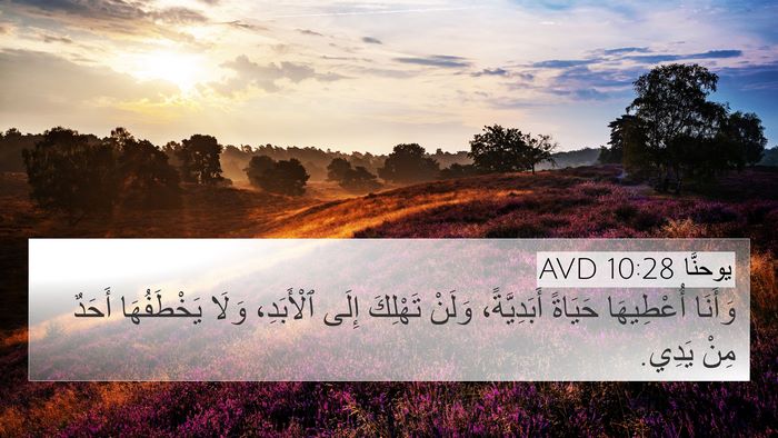 يوحنَّا 10:28 AVD Bible Verse Image