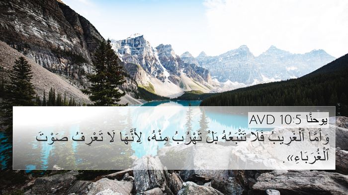 يوحنَّا 10:5 AVD Bible Verse Image