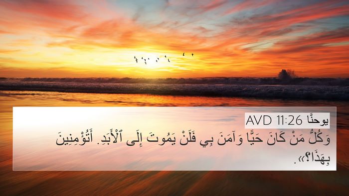 يوحنَّا 11:26 AVD Bible Verse Image