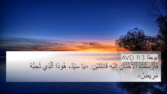 يوحنَّا 11:3 AVD Bible Verse Image