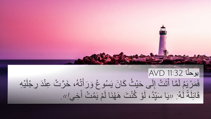 يوحنَّا 11:32 AVD Bible Verse Image