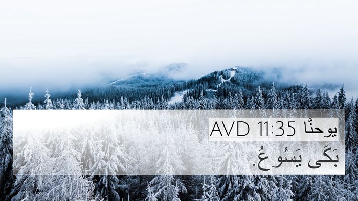 يوحنَّا 11:35 AVD Bible Verse Image